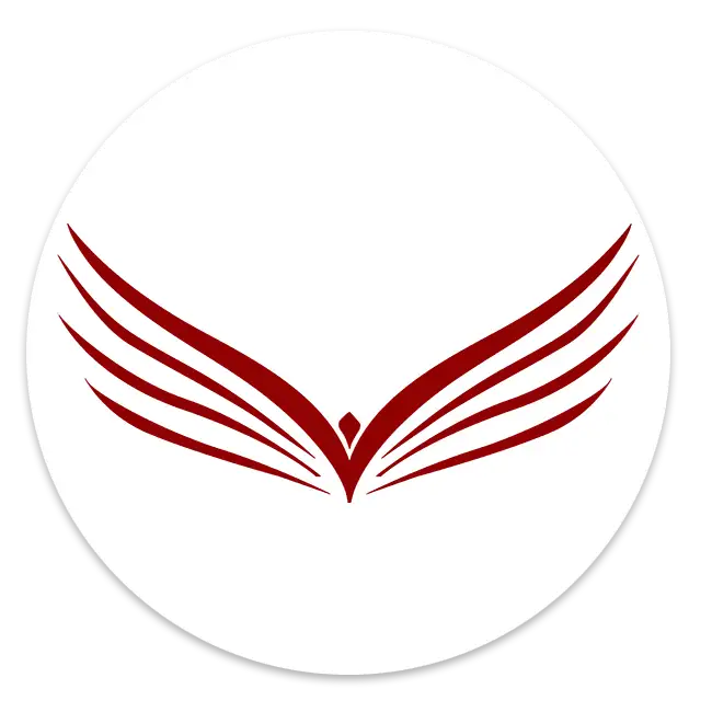 vision-icon-3