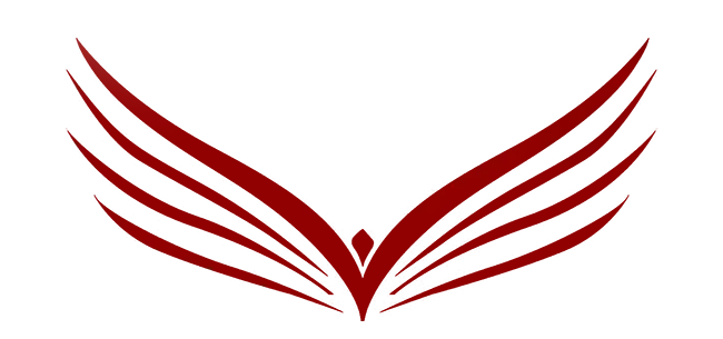 vision-logo-bird Vision Logo